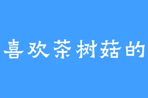 一个喜欢茶树菇的姑娘