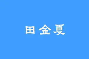 田金夏