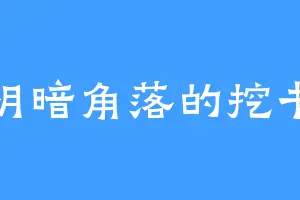 在阴暗角落的挖书人