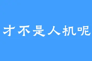才不是人机呢