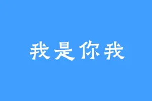 我是你我