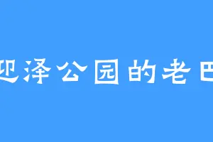 迎泽公园的老巴