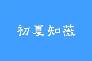 初夏知薇