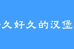 好久好久的汉堡包