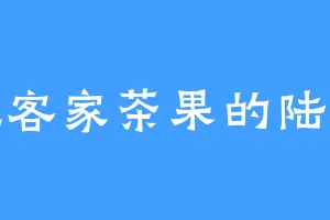 爱吃客家茶果的陆逸猛