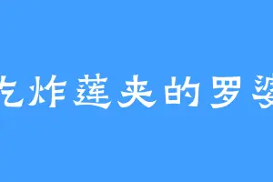 爱吃炸莲夹的罗婆婆