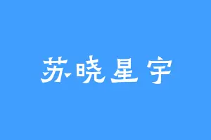 苏晓星宇
