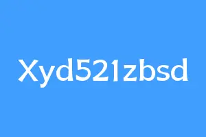 Xyd521zbsd