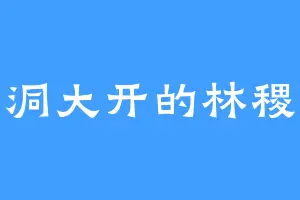 脑洞大开的林稷安