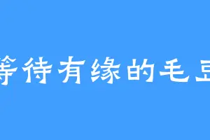 等待有缘的毛豆