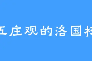 五庄观的洛国栋