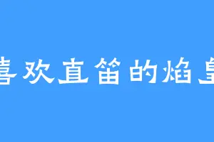 喜欢直笛的焰皇