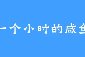 一个小时的咸鱼