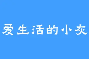 爱生活的小灰