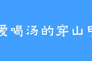 爱喝汤的穿山甲