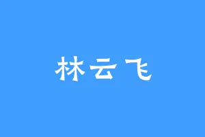 林云飞