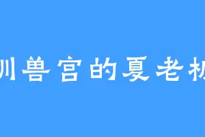 训兽宫的夏老板