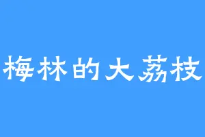 梅林的大荔枝