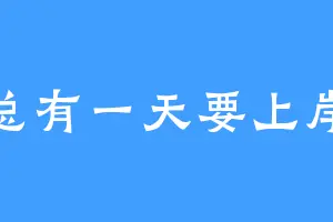 总有一天要上岸