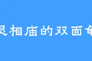 灵相庙的双面龟