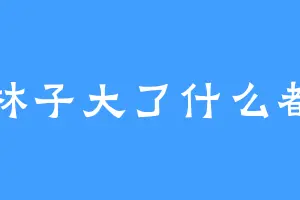 林子大了什么都