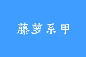 藤萝系甲