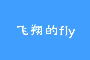 飞翔的fly