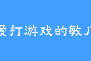 爱打游戏的敏儿