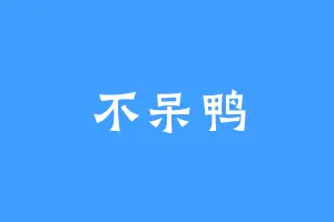 不呆鸭