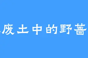 荒废土中的野蔷薇