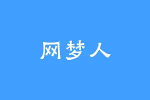网梦人