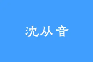 沈从音