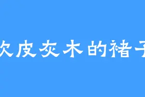 喜欢皮灰木的褚子寒