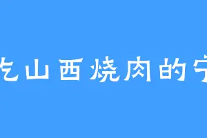 爱吃山西烧肉的宁儿
