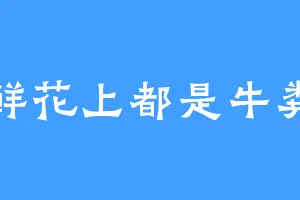 鲜花上都是牛粪