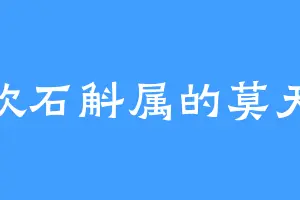 喜欢石斛属的莫天道