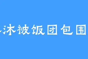 沐沐被饭团包围了
