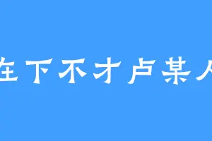 在下不才卢某人