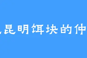 爱吃昆明饵块的仲文力