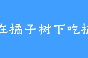 坐在橘子树下吃橘子