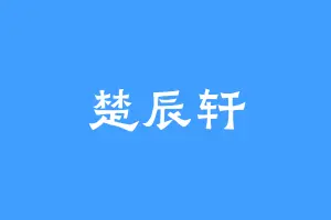 楚辰轩