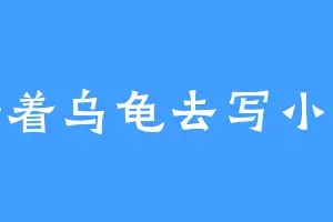 骑着乌龟去写小说