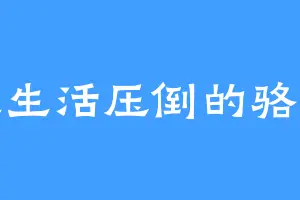 被生活压倒的骆驼