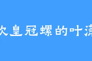 喜欢皇冠螺的叶潇潇
