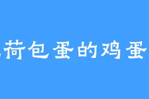 爱吃荷包蛋的鸡蛋仙人