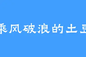 乘风破浪的土豆