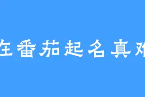 在番茄起名真难