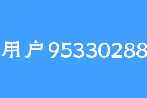 用户95330288