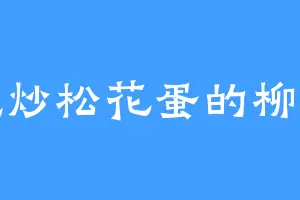 爱吃炒松花蛋的柳亦东