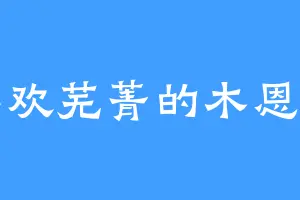 喜欢芜菁的木恩问